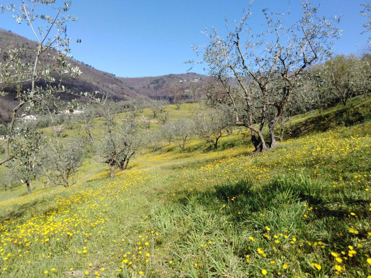 Agriturismo Terrarossa Пистоя Екстериор снимка
