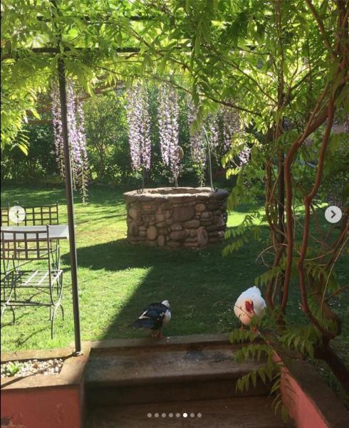 Agriturismo Terrarossa Пистоя Екстериор снимка