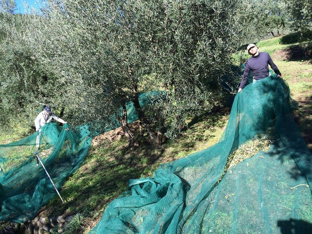 Agriturismo Terrarossa Пистоя Екстериор снимка