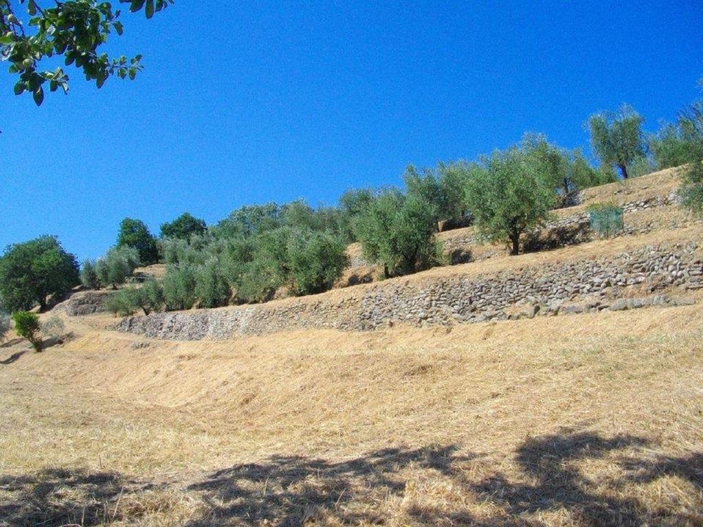 Agriturismo Terrarossa Пистоя Екстериор снимка
