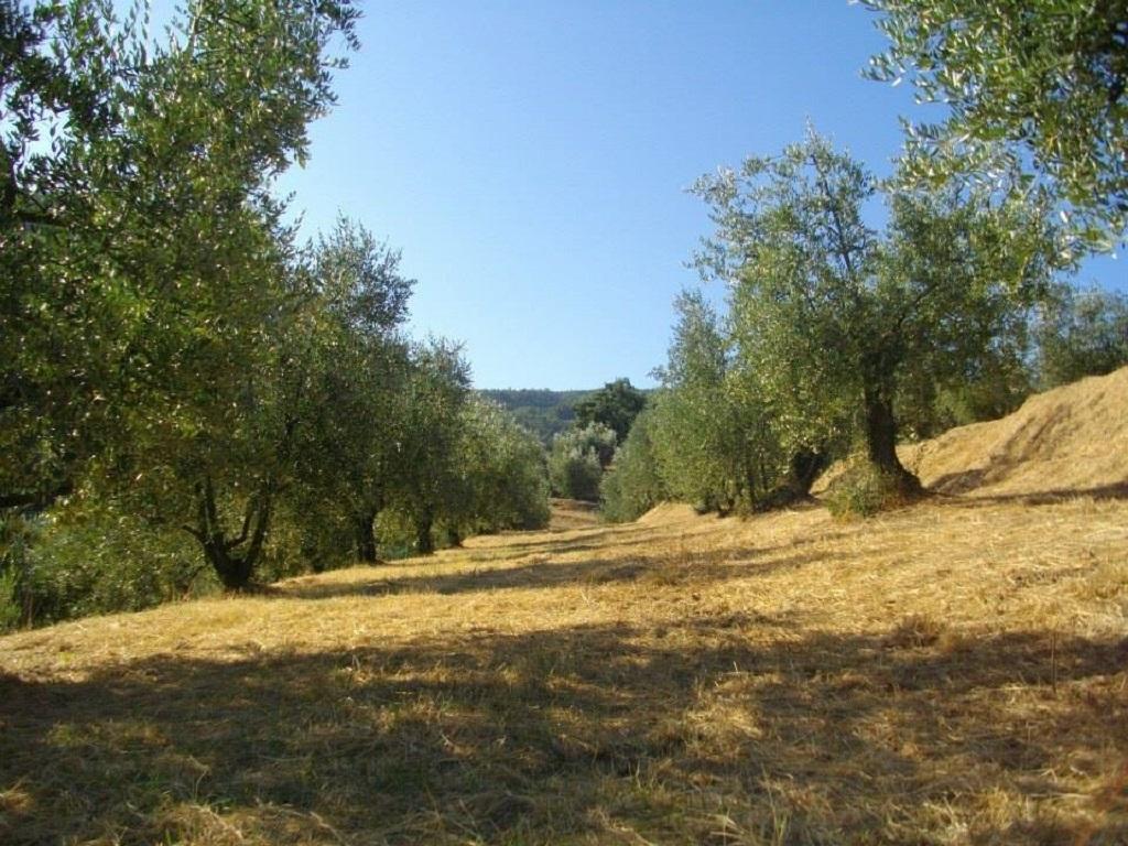 Agriturismo Terrarossa Пистоя Екстериор снимка