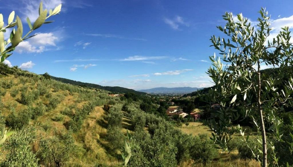Agriturismo Terrarossa Пистоя Екстериор снимка