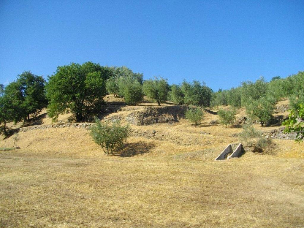 Agriturismo Terrarossa Пистоя Екстериор снимка
