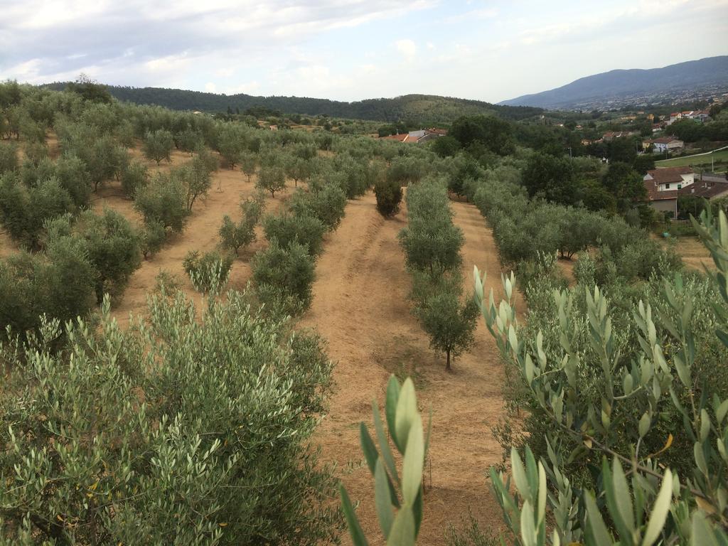 Agriturismo Terrarossa Пистоя Екстериор снимка
